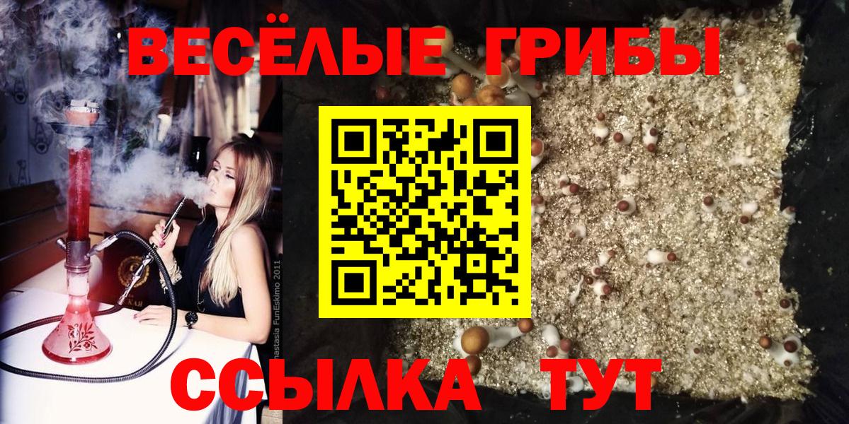 Галлюциногенные грибы ЛСД Кимры